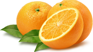 Orange Fruit in winter